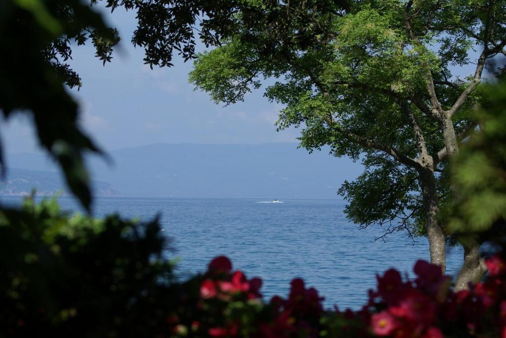Apartments & Rooms Milcetic M Малинска Номер фото